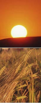 setting sun